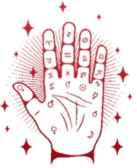 Palm Reading